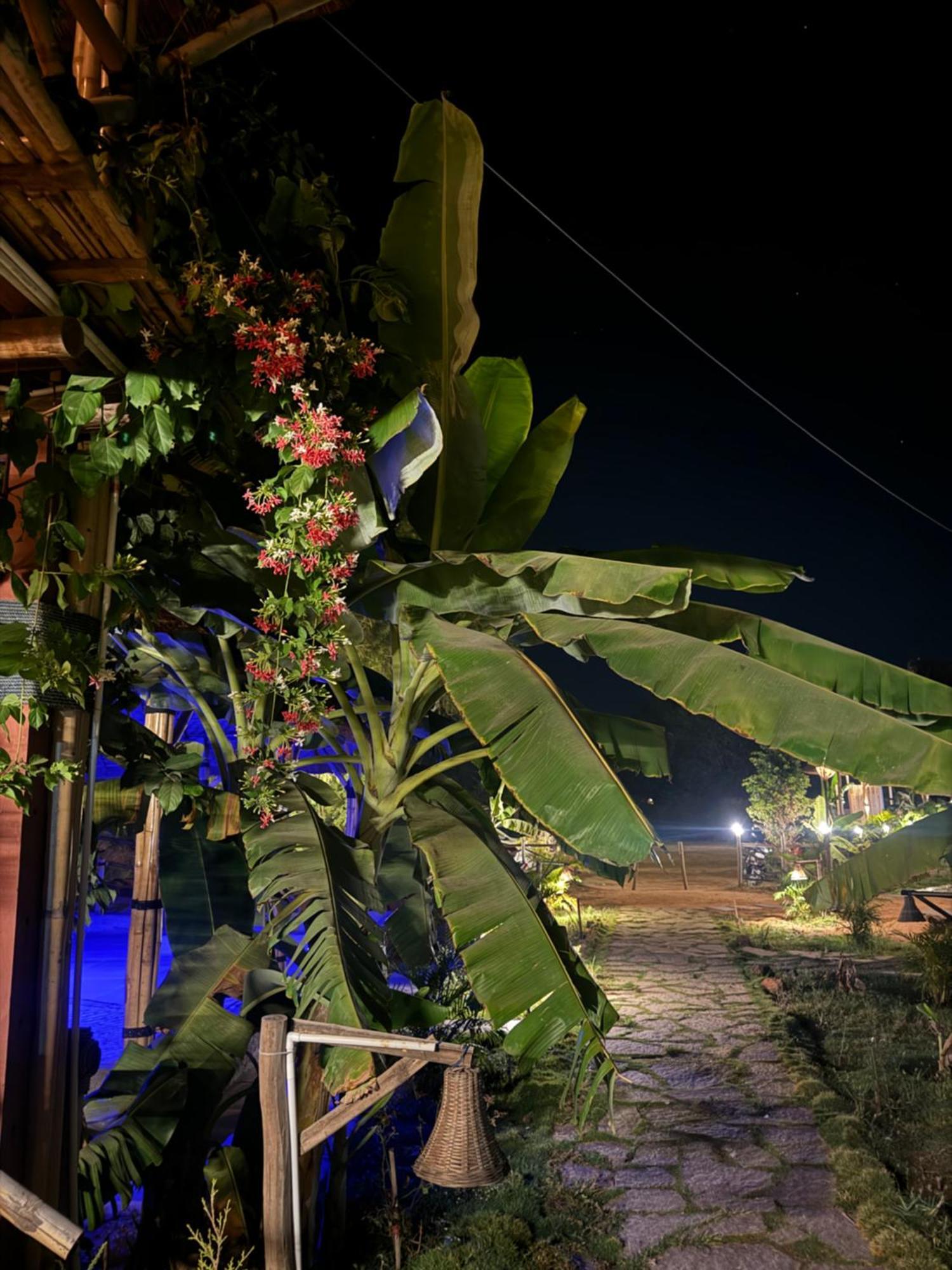 Hill Stone View Hampi Hotel Exterior photo